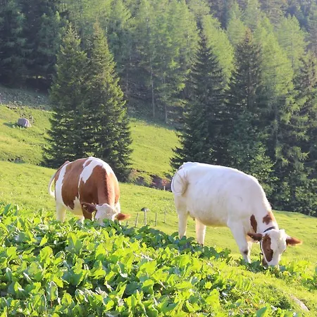 Salzburger Dolomitenhof Hotel