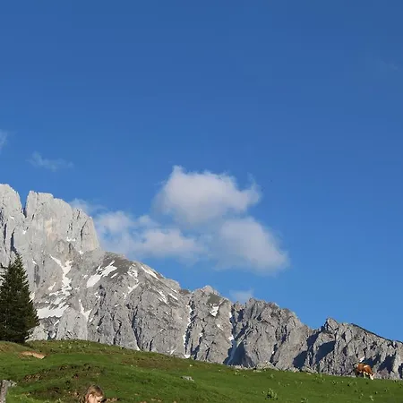 Salzburger Dolomitenhof 3* Annaberg im Lammertal