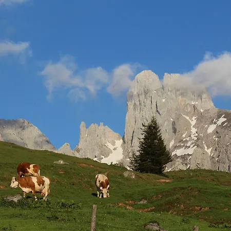 Salzburger Dolomitenhof