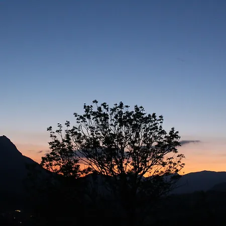 ホテル Salzburger Dolomitenhof アンベルク・イム・ランマータール