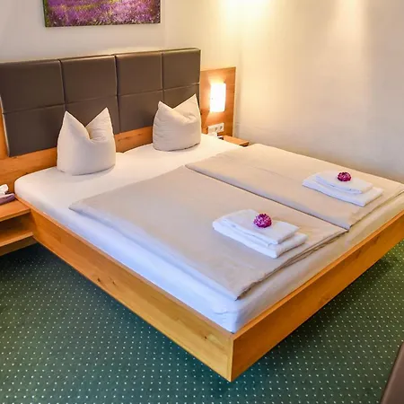 ホテル Salzburger Dolomitenhof 3*