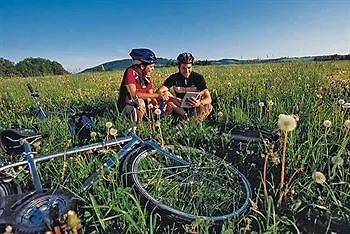 Salzburger Dolomitenhof 3*