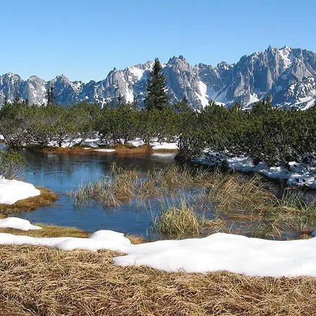 Salzburger Dolomitenhof 3* Annaberg im Lammertal