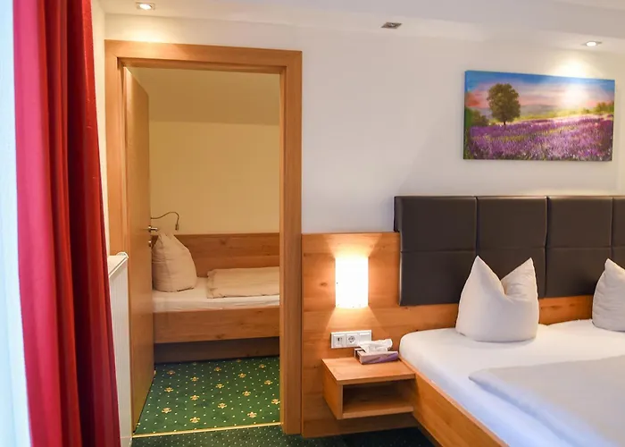 酒店 萨尔茨堡多罗米特诺夫酒店